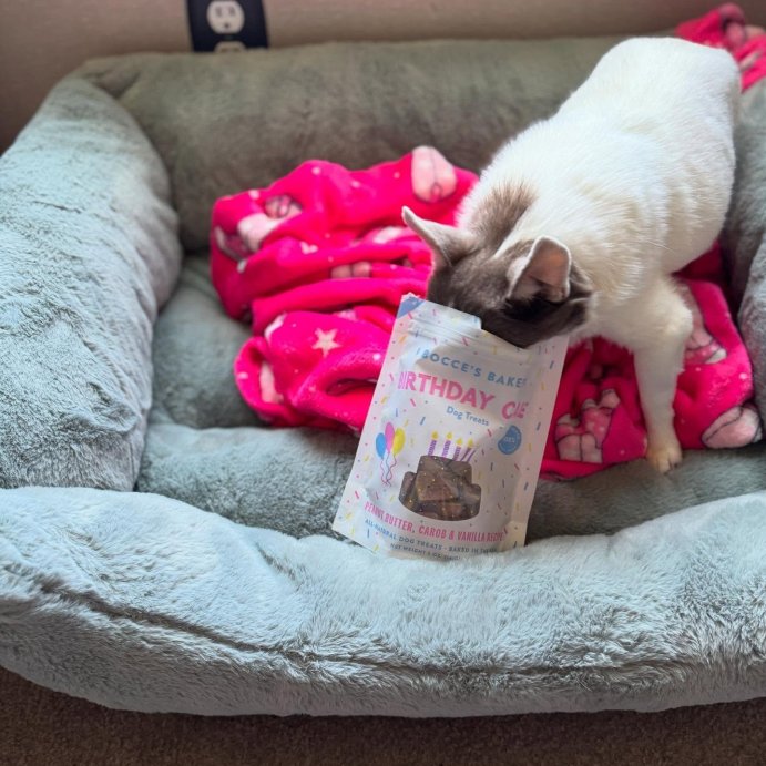 user image by @ruthlesstaind, Bocce&#39;s Bakery Birthday Cake with Peanut Butter, Carob and Vanilla Flavors Dog Treats - 5oz