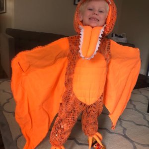 Light-Up Pterodactyl Halloween Costume