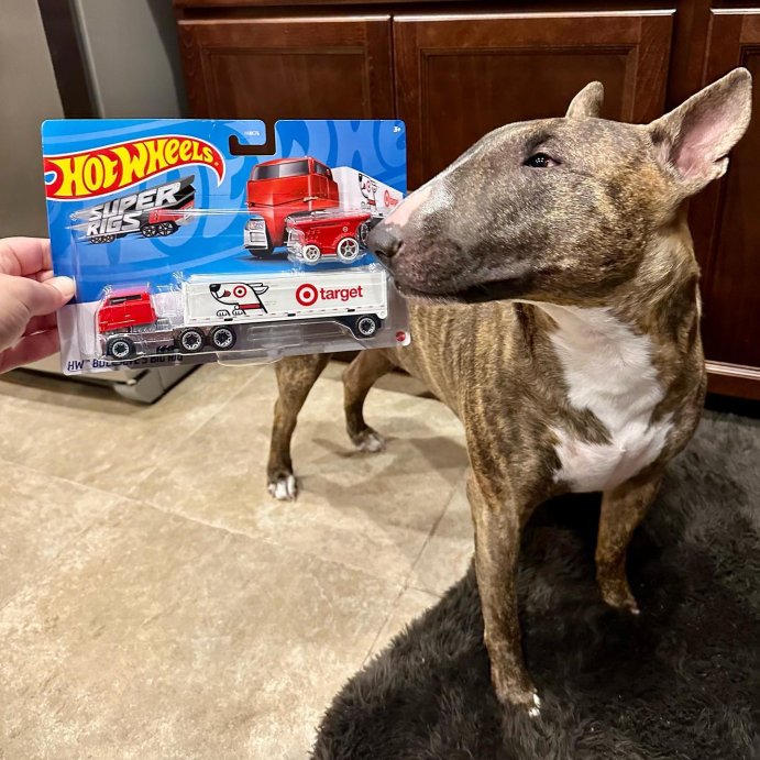 user image by @pennyblossom_bully, Hot Wheels 1:64 Scale Bullseye&#39;s Big Rig Toy Truck &#38; Shopping Cart Set - 3 Piece