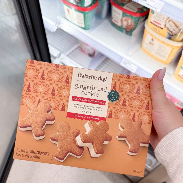 user image by @targettherapy, Gingerbread Ice Cream Sandwich - 14.56oz/4ct - Favorite Day&#8482;