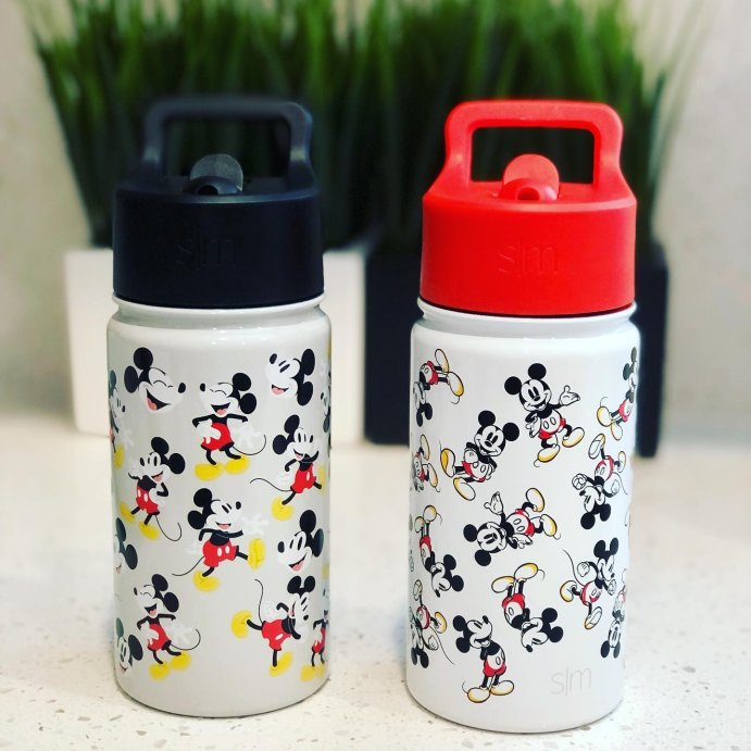 user image by @jnetd15ney, 14oz Stainless Steel Summit Kids Water Bottle with Straw - Simple Modern