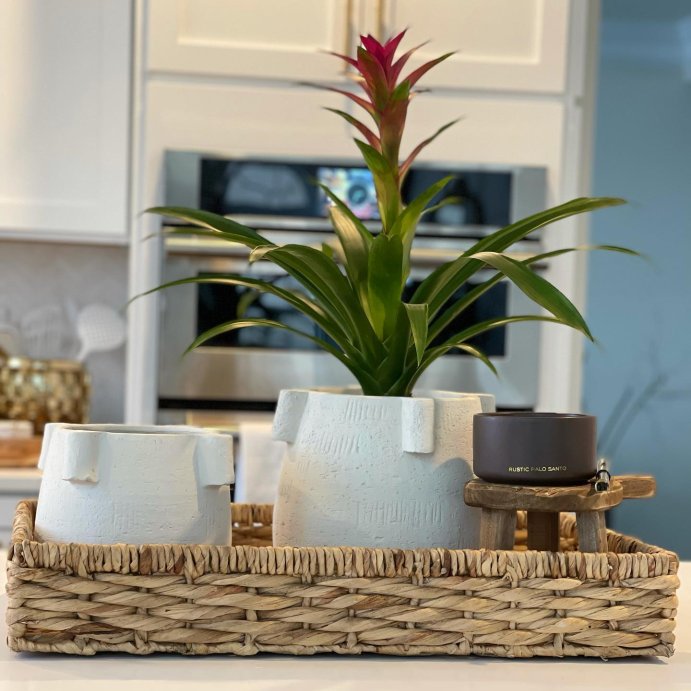 user image by @karen_myhomedecor, 15oz Ceramic Jar 3-Wick Black Label Rustic Palo Santo Candle - Threshold&#8482;: Soy Wax Blend, Aromatic Clove &#38; Vetiver