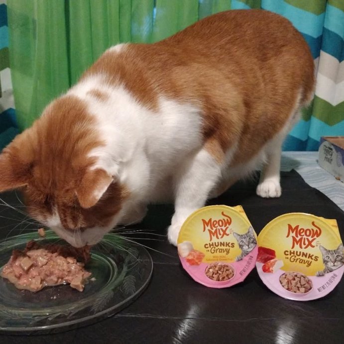 user image by @just.me.feeling.groovy, Meow Mix Seafood Selections Wet Cat Food with Shrimp, Salmon, Crab &#38; Tuna Flavor - 2.75oz/24ct Variety Pack