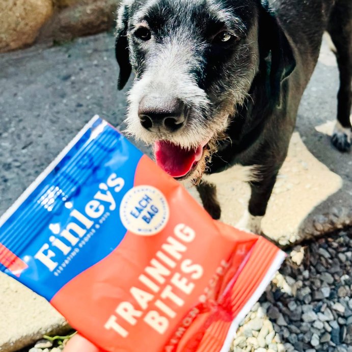 user image by @berlinburgess, Finley&#39;s All Natural Salmon Flavor Soft &#38; Chewy Training Bite Dog Treat - 5oz