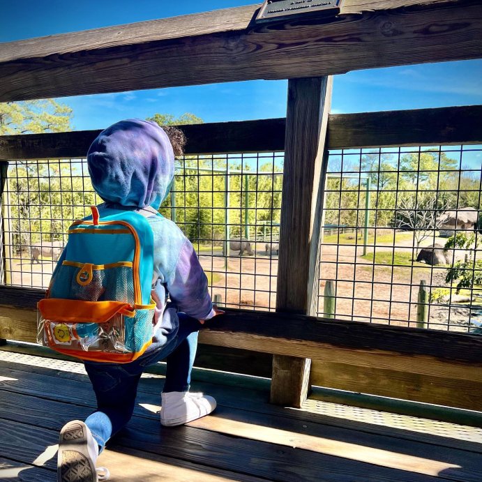 user image by @luca_amari_daniels, Melissa &#38; Doug Let&#39;s Explore Hiking Play Set  - 23pc