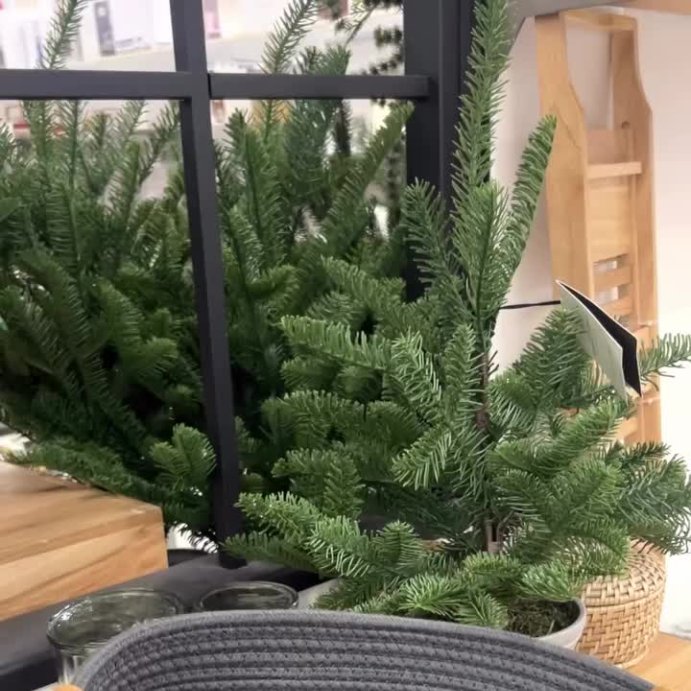 user image by @inspomotion_, Men's Cruz Genuine Suede Clog Slippers - Goodfellow & Co™