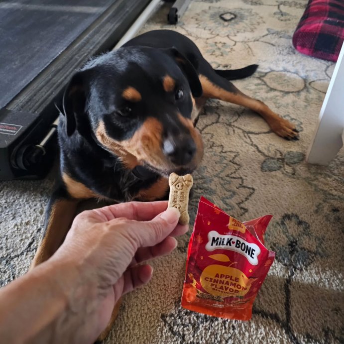 user image by @phyllis_ann430, Milk-Bone Halloween Apple and Cinnamon Flavor Dog Treats - 8oz