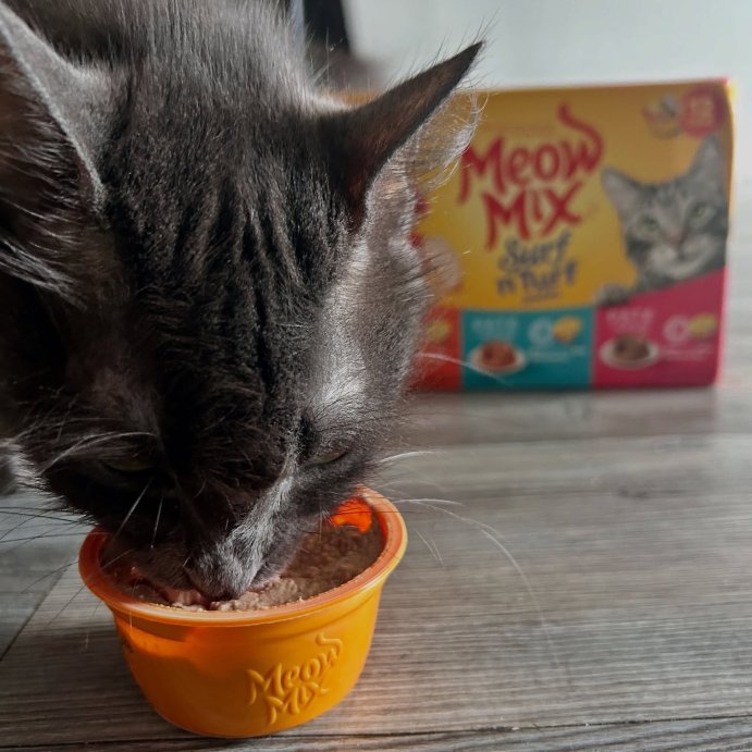 user image by @laurareyvi2, Meow Mix Surf n Turf Tuna Salmon and Chicken Flavor Wet Cat Food - 33oz