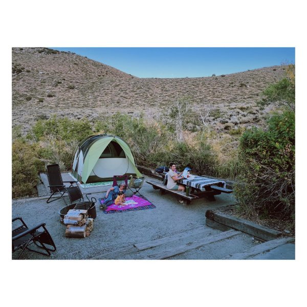 テント・タープ REI Co-op Wonderland Mud Room Glen Green REI Co-op Wonderland Mud Room | REI Co-op