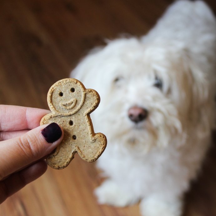user image by @buddybiscuits, Buddy Biscuits Oven Baked Crunchy Peanut Butter Dog Treats