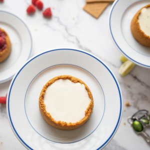 Apilco Tradition Blue-Banded Porcelain Dinnerware Collection +