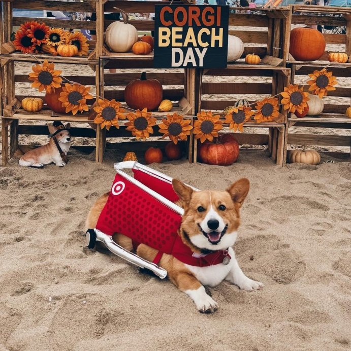 targetstyle-target-finds