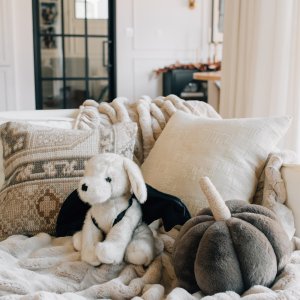 Beau the Bat Puppy Shaped Pillow