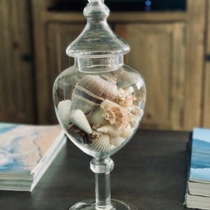 Classic Handcrafted Glass Apothecary Jars Pottery Barn
