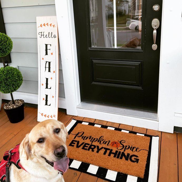 user image by @doing_the_charleston, Shiraleah Pumpkin Spice Everything Fall Doormat