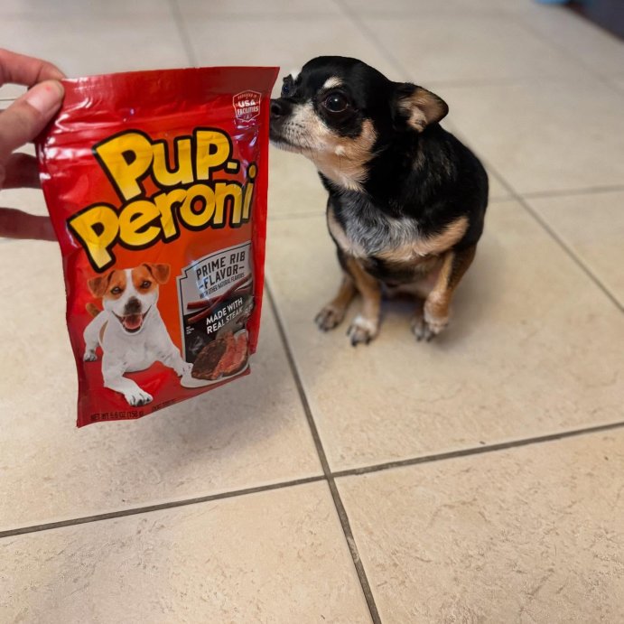 user image by @windylenguyen, Pup-Peroni Treats Peroni Beef Prime Rib Flavor Chewy Dog Treats - 22.5oz