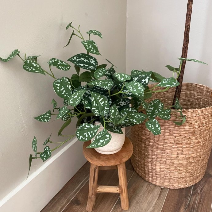 user image by @ranchhomeliving, 10&#34; Faux Satin Variegated Pothos Plant - Hearth &#38; Hand&#8482; with Magnolia: Indoor Decorative Artificial Foliage in Off-White Pot
