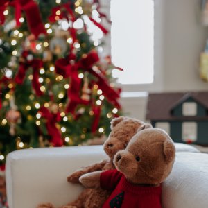 Christmas Toasted Coconut Teddy Bear Plush | Pottery Barn Kids