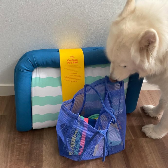 user image by @denali_olli, Cooling Mat Bolster Dog and Cat Bed - Sun Squad&#8482; Blue/Green/White