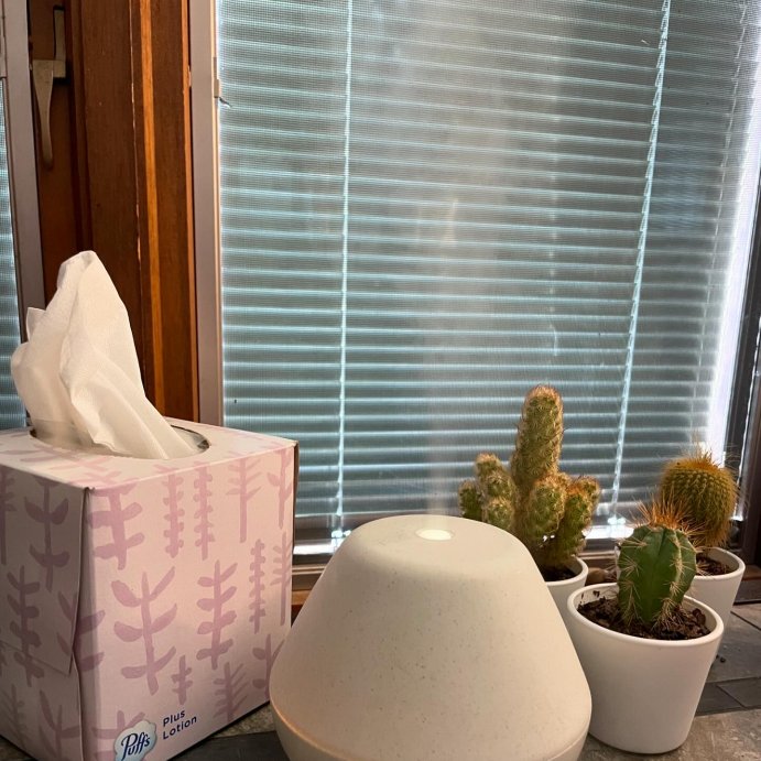 user image by @lilygracebelna, Essential Oil Diffuser - 6.7 fl oz - Everspring&#8482;