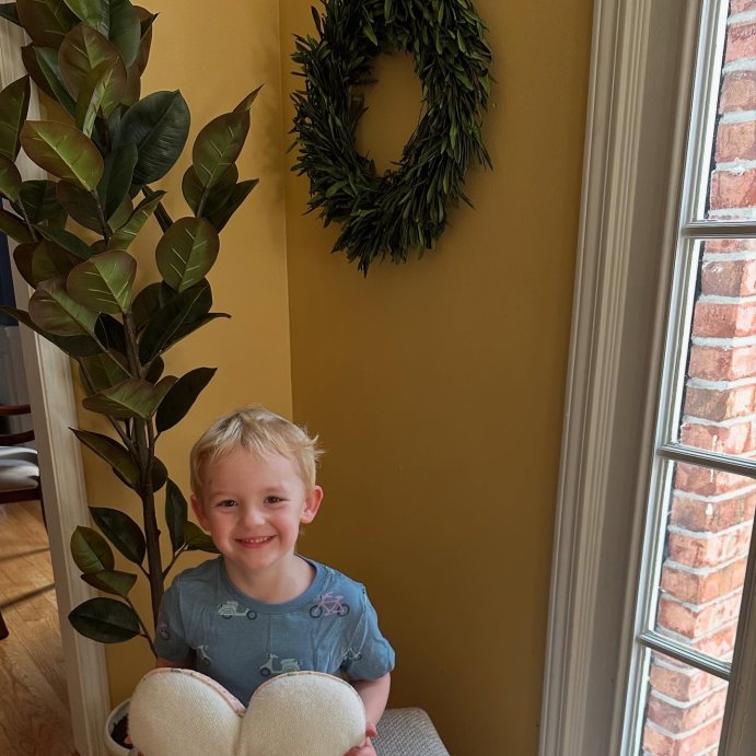 user image by @caitlindurfey, Preserved Olive Leaf Wreath - Threshold&#8482;