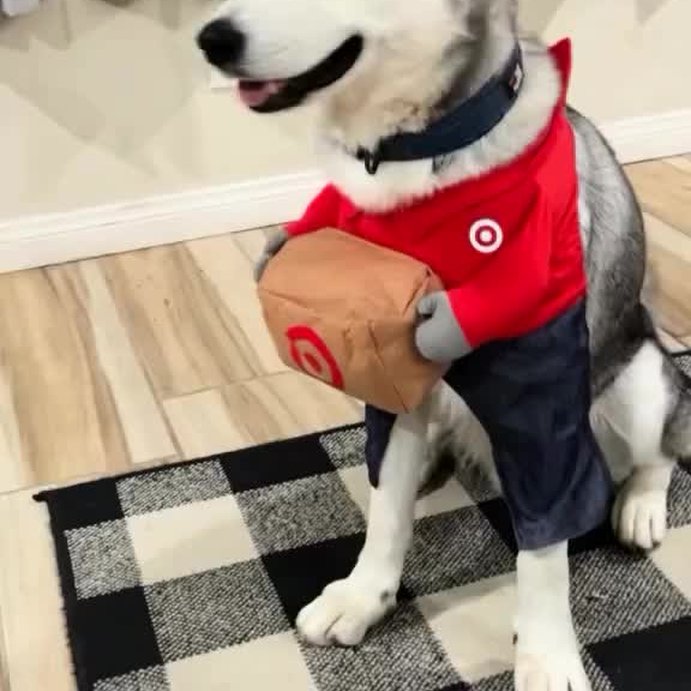 user image by @mr.troublerocky, Halloween Target Delivery Dog and Cat Frontal Costume - Hyde and EEK! Boutique™