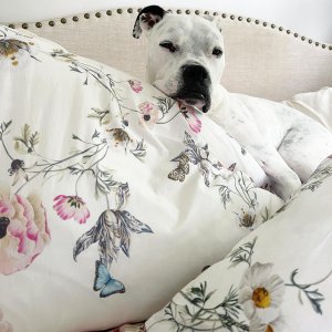 Couette Pottery Barn Teen Monique Lhuillier Jolie - Fleurie - Full/Queen - Neuve Sans étiquette