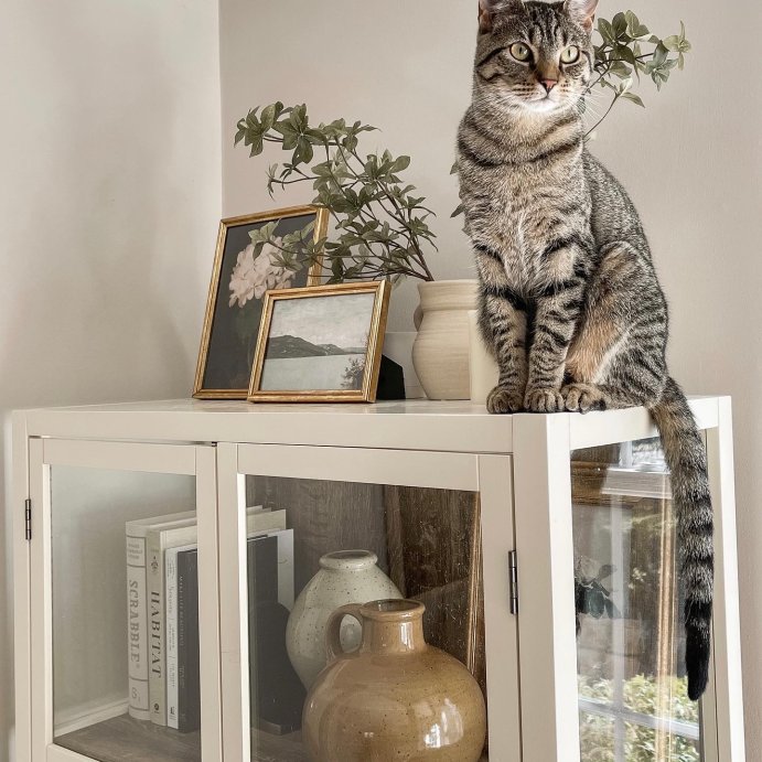 user image by @lifewithaida, Habitat - by  Lauren Liess (Hardcover)
