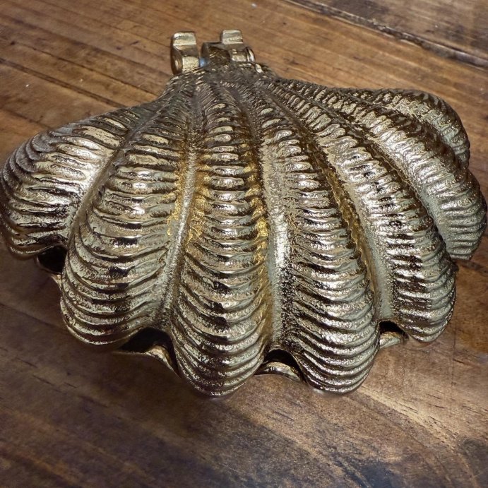 user image by @sbwantsitall, Brass Shell Hand Towel Holder with Hinge - Threshold&#8482;
