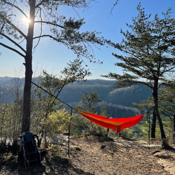 ENO DoubleNest Giving Back Printed Hammock | REI Co-op