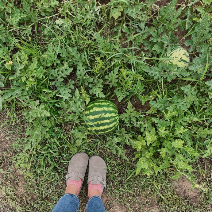 user image by @vcast16, Women's Betsy Clog Mule Flats - Universal Thread™