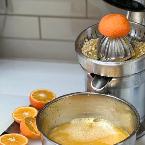  COFUN Juicer Attachment for KitchenAid Stand Mixer, For Kitchen  Aid Juicer Attachment With Two Sizes of Reamer, Juicer Attachment Used to  Squeeze Lemons, Oranges, Limes And Other Fresh Citrus Fruit: Home