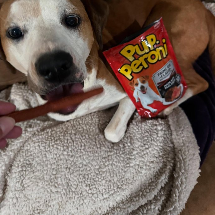 user image by @aehart78, Pup-Peroni Treats Peroni Beef Prime Rib Flavor Chewy Dog Treats - 22.5oz