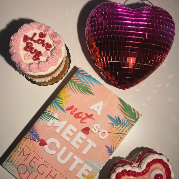 user image by @ciarasbooknook, A Not So Meet Cute - (Cane Brothers) by  Meghan Quinn (Paperback)