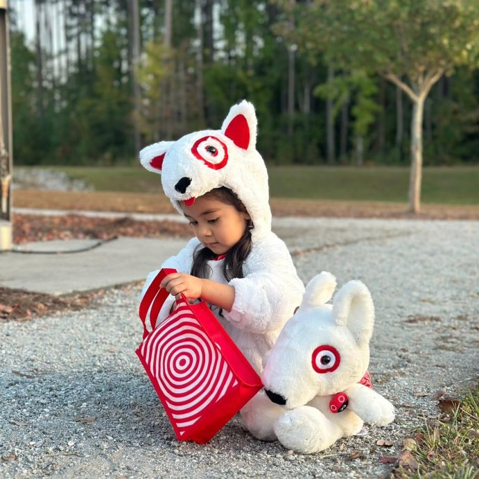 user image by @joy723, Target 10&#39;&#39; Bullseye Plush Dog (Target Exclusive)
