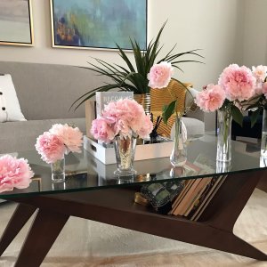 【West Elm】Brazilian Display Coffee Table Marcio Display Coffee Table | Modern Living Room Furniture | West Elm