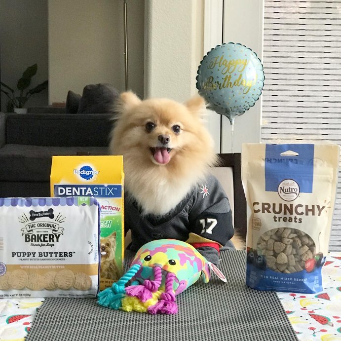 user image by @skai_lv, Nutro Mixed Berry Flavor Crunchy Dog Treats