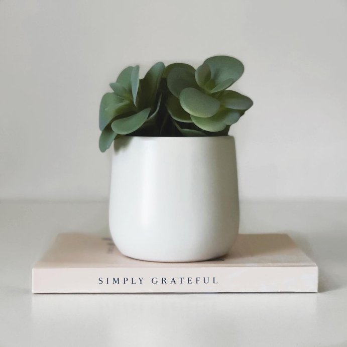 user image by @rachelastrickland, Green Inspired Simply Grateful Journal: Guided Notebook for Women, Hard Cover, 5x7 Inches, 176 Pages, Multicolor