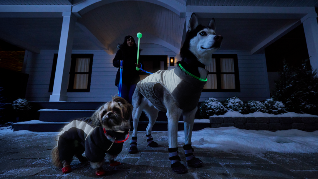 Shop Nite Ize NiteHowl Rechargeable LED Dog Collar, Adjustable, Petco Skidoo Reflective Dog Winter Jacket, Black, Petco All-Weather Reflective Slip-On Dog Winter Boots, Black, Nite Ize NiteDog Rechargeable LED Dog Leash, Water-Resistant and Reflective, 5-ft, Blue, Petco Glow-In-The-Dark Launcher and Ball Set, Petco Pet Snowsuit, Black, Petco Non-Skid Rubber-Dip Sock for Dogs, Red and more