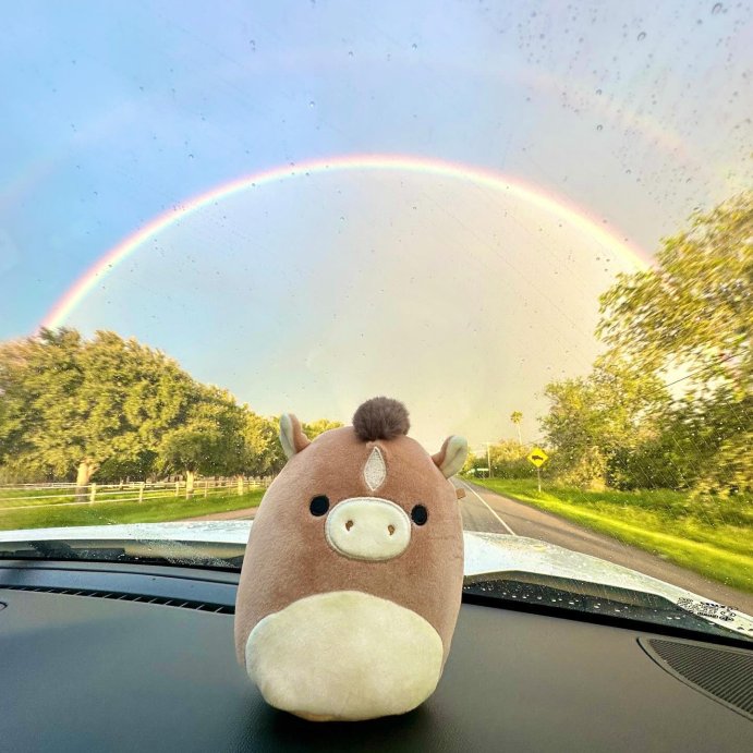 user image by @amandaamj_, Squishmallows 12 Inch Flip-A-Mallow Plush | Nia Pig / Philip Horse