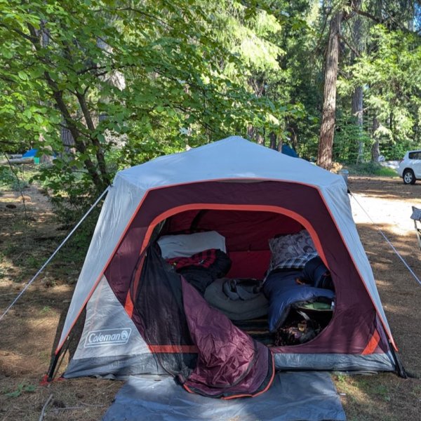 Coleman Skylodge 6-Person Instant Camping Tent | REI Co-op