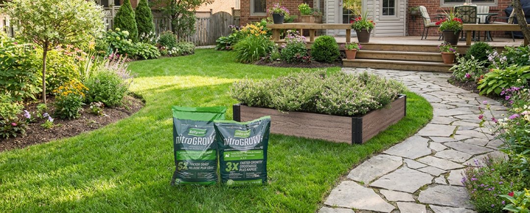 Shop Golfgreen Nitrogrow+ Premium Lawn Soil, 5X Thicker, 25-L, Golfgreen Nitrogrow+ Premium Nitrogen Enriched Sun and Shade Grass Seed with Fertilizer, 14-0-0, 1.2kg, EverBloom Essential Raised Garden Bed, Rectangular, Walnut Colour and more