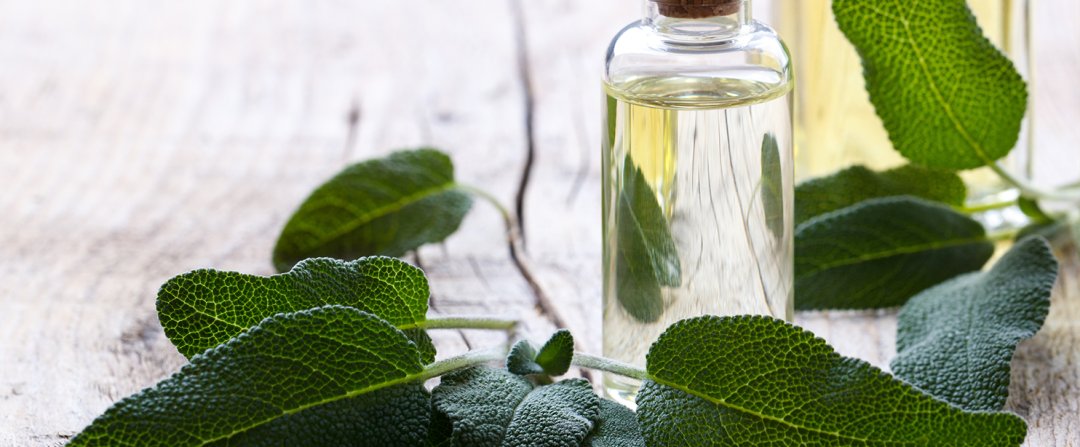 Shop Alvita Organic Sage Tea (24 Tea Bags), Sage Leaf, Simplers Botanical Company Clary Sage 100% Pure Organic Essential Oil (5 Milliliter Oil) and more