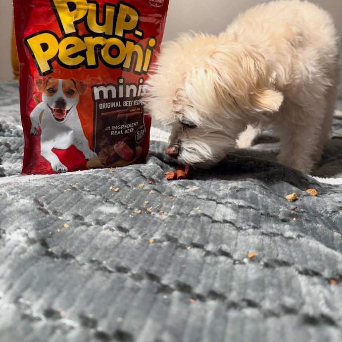 user image by @kikikay7, Pup-Peroni Treats Peroni Beef Flavor Chewy Dog Treats