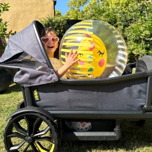 Veer Cruiser Foldable Rear Basket