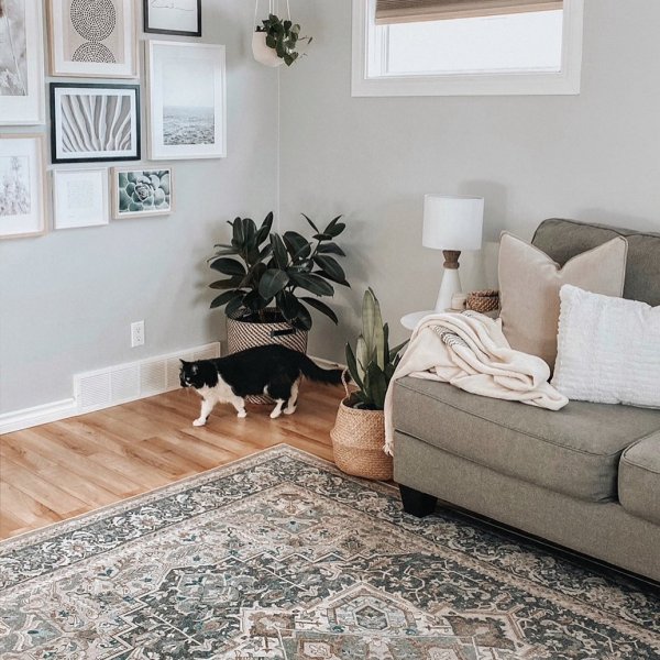 Cat Rugs Buy A Cat Rug Or Cat Area Rug Cat Proof Rugs By Ruggable