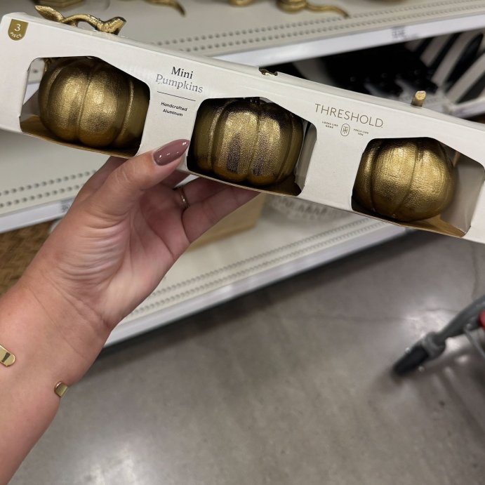 user image by @thedani_edit, 3pk Fall Mini Gold Pumpkins - Threshold&#8482;