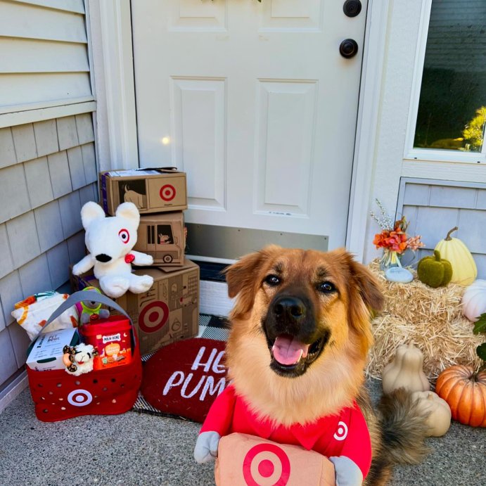 user image by @guster_thee_pupper, Halloween Target Delivery Dog and Cat Frontal Costume - Hyde and EEK! Boutique™