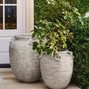 Nico Indoor/Outdoor Planter | Williams Sonoma