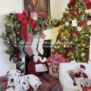 Holiday Sugar Cookie Set